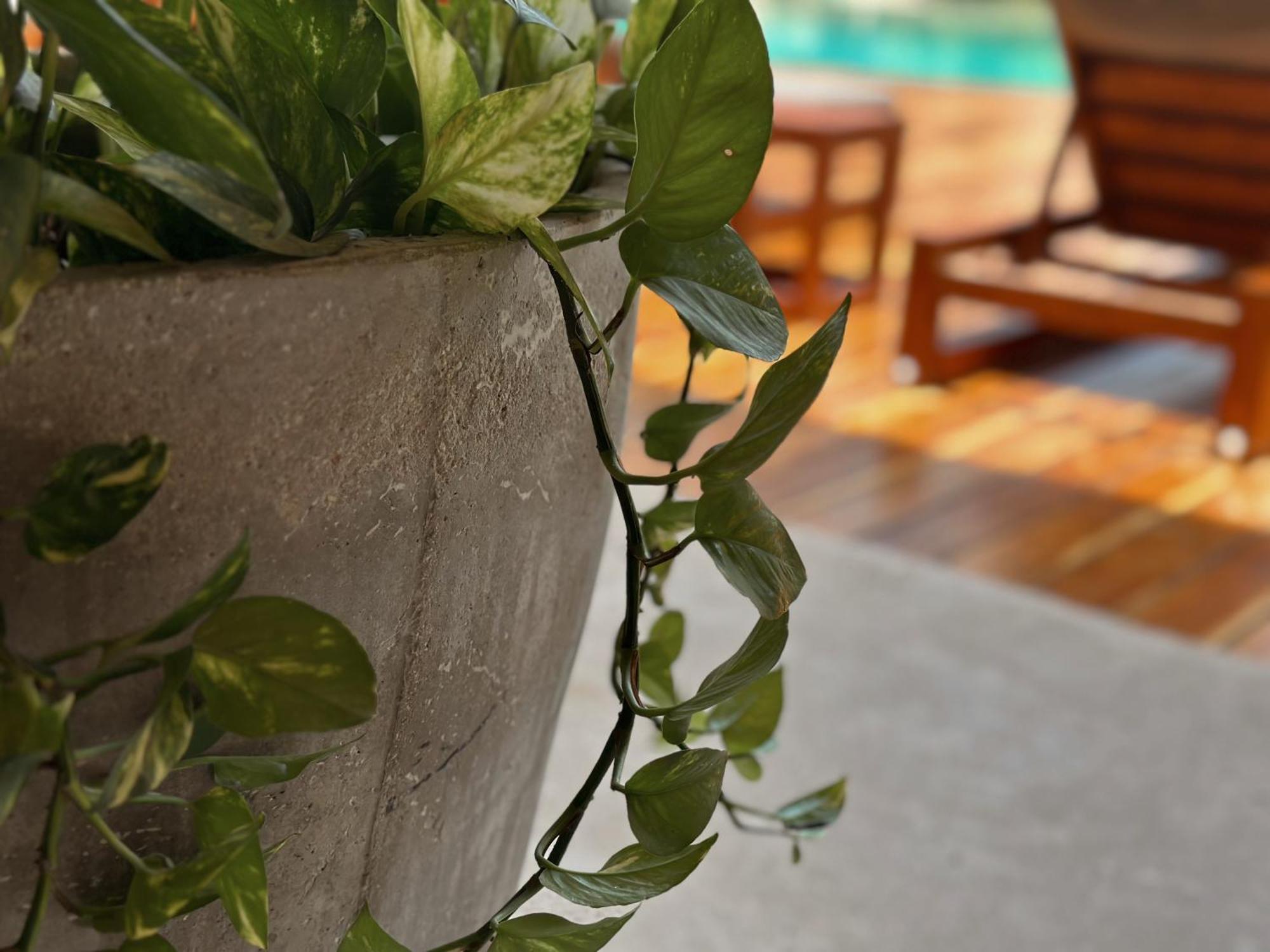 Ophelia Tulum Condo In Aldea Zama Bagian luar foto