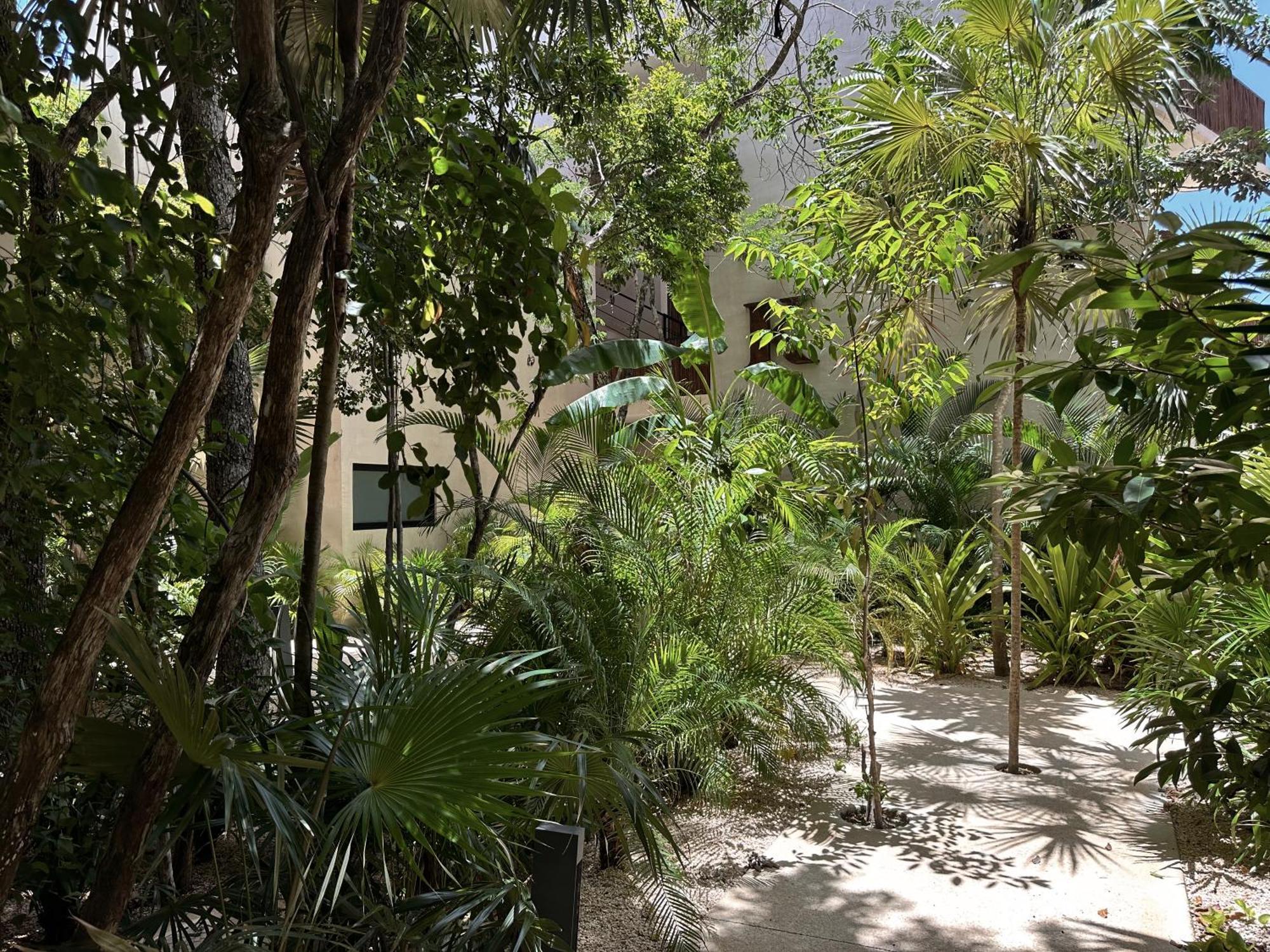 Ophelia Tulum Condo In Aldea Zama Bagian luar foto